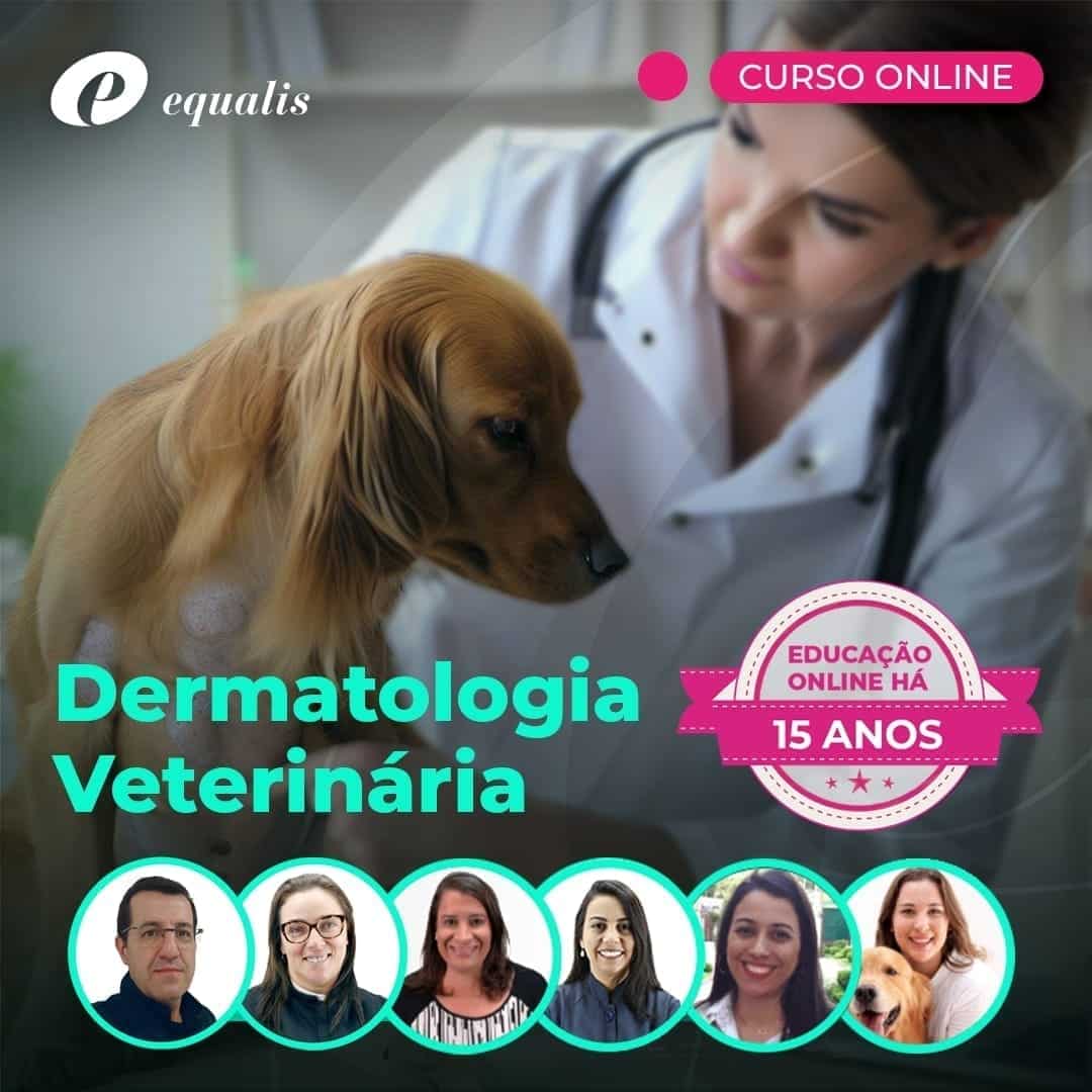 Vanessa Romualdo - Livisa cursos - Rio de Janeiro, Rio de Janeiro