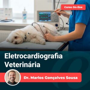 eletrocardiografia | Equalis