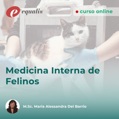 Medicina Interna de Felinos
