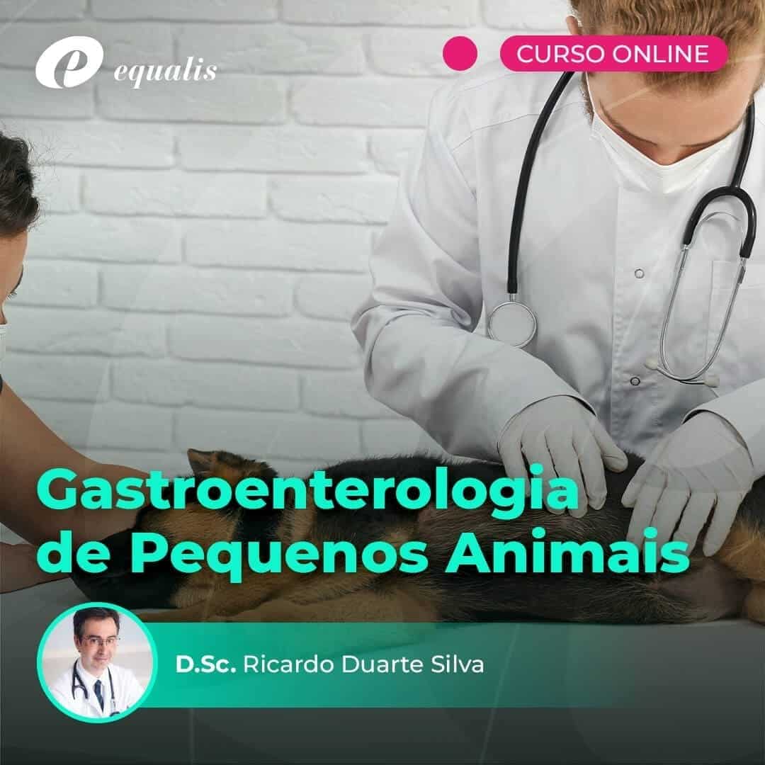 TESTES TAMBÉM SÃO TERAPIA  Coelho é Coisa Nossa 