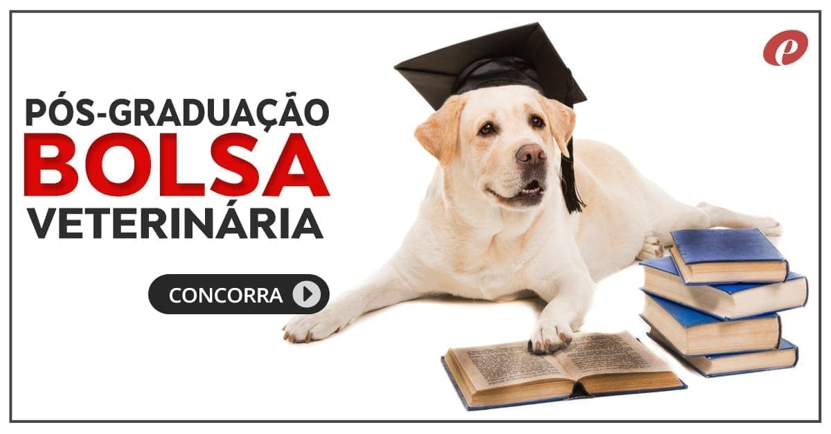 Bolsa-de-Pós-Graduação-Veterinária-Equalis