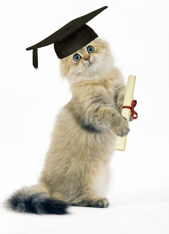 Bolsa-de-Pós-Graduação-Veterinária