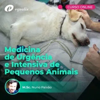 Curso Online em Controle da Dor na Clínica de Cães e Gatos