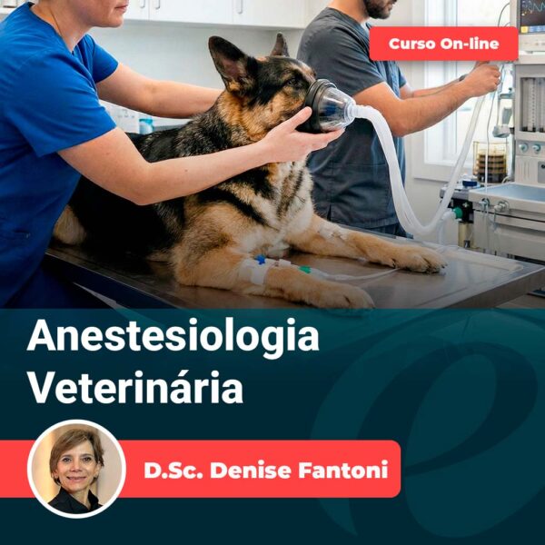 22 | Equalis Curso online de Anestesiologia Veterinária Equalis com D.Sc. Denise Fantoni