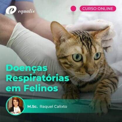 Doenças Respiratórias em Felinos