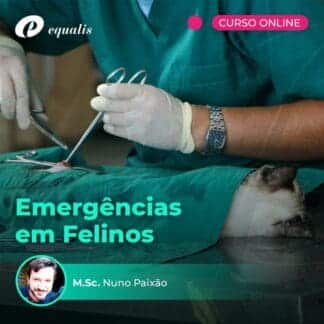 Curso Emergências em Felinos