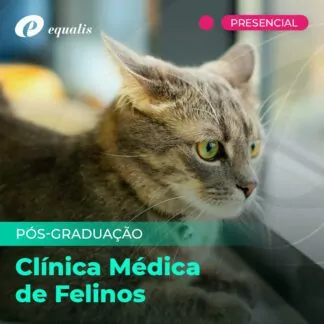 Pós Graduação em Clínica Médica de Felinos - São Paulo