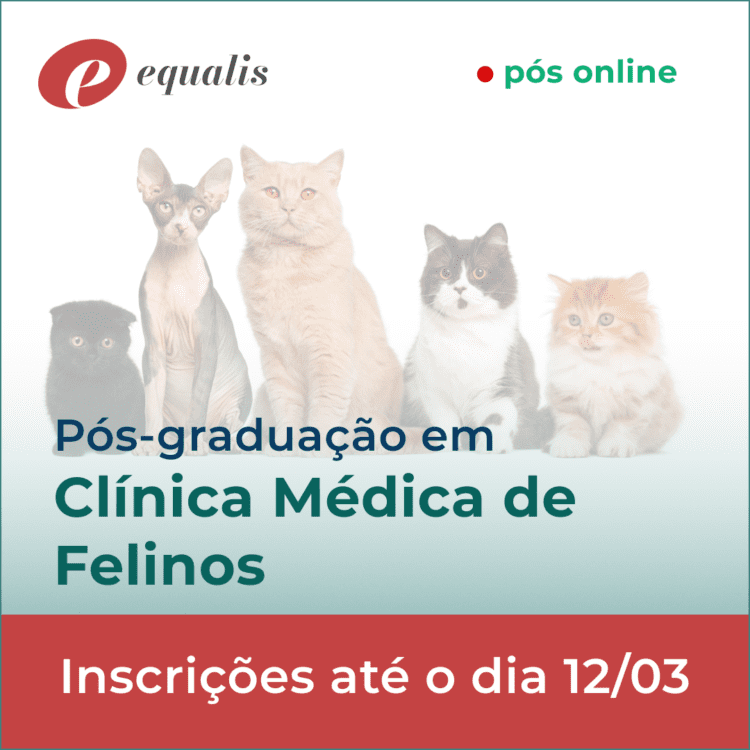 Pós Graduação Clínica Médica de Felinos