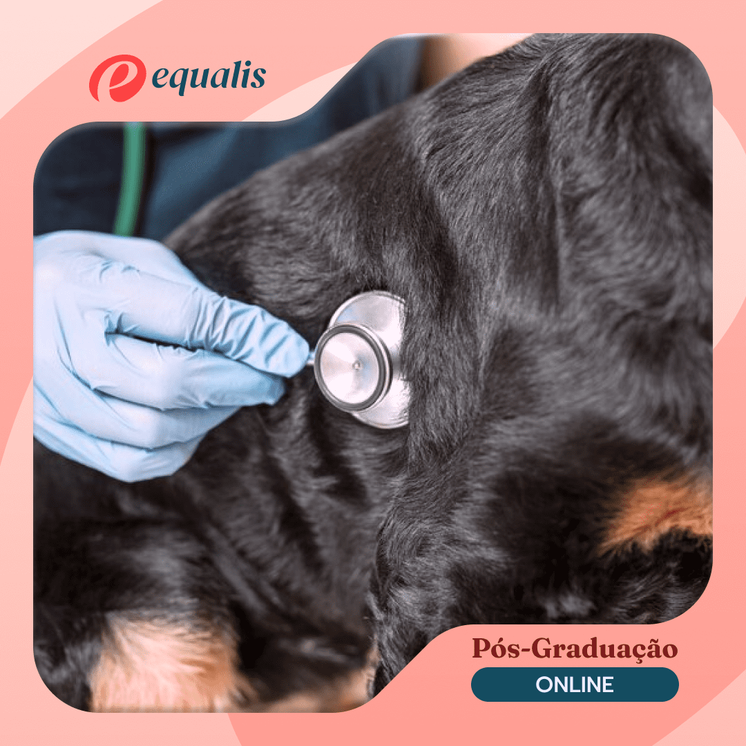 Pós-graduação Cardiologia Veterinária