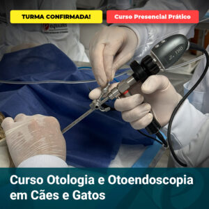 TURMA CONF OTOLOG | Equalis Veterinary surgeons perform otology/endoscopy on a dog during a hands-on course; banners read 'TURMA CONFIRMADA!' and 'Curso Presencial Prático'; bottom shows 'Curso Otologia e Otoneendoscopia em Cães e Gatos'