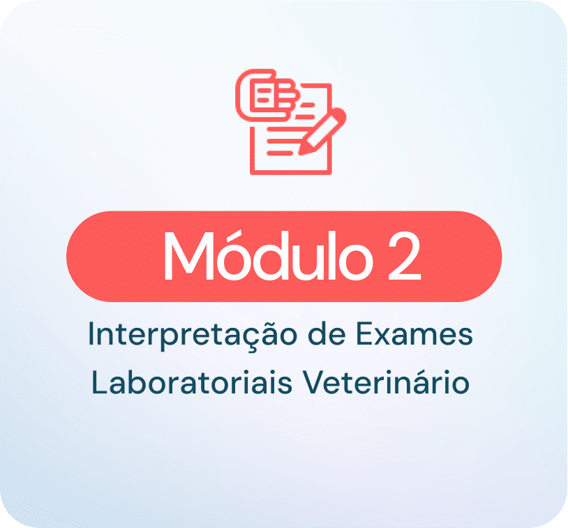 Group 12