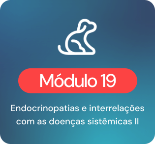 Group 162
