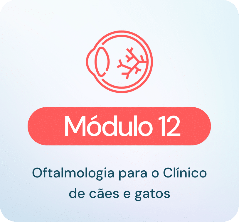 Oftalmologia