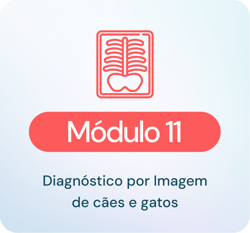 Radiografia