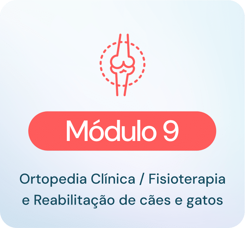 ortopedia