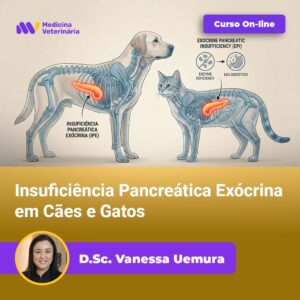 Insuficiência Pancreática Exócrina em Cães e Gatos | Equalis