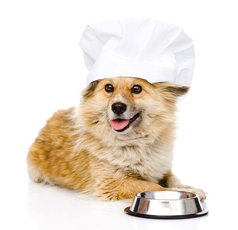 | Equalis Alimentação-natural-para-pets-2