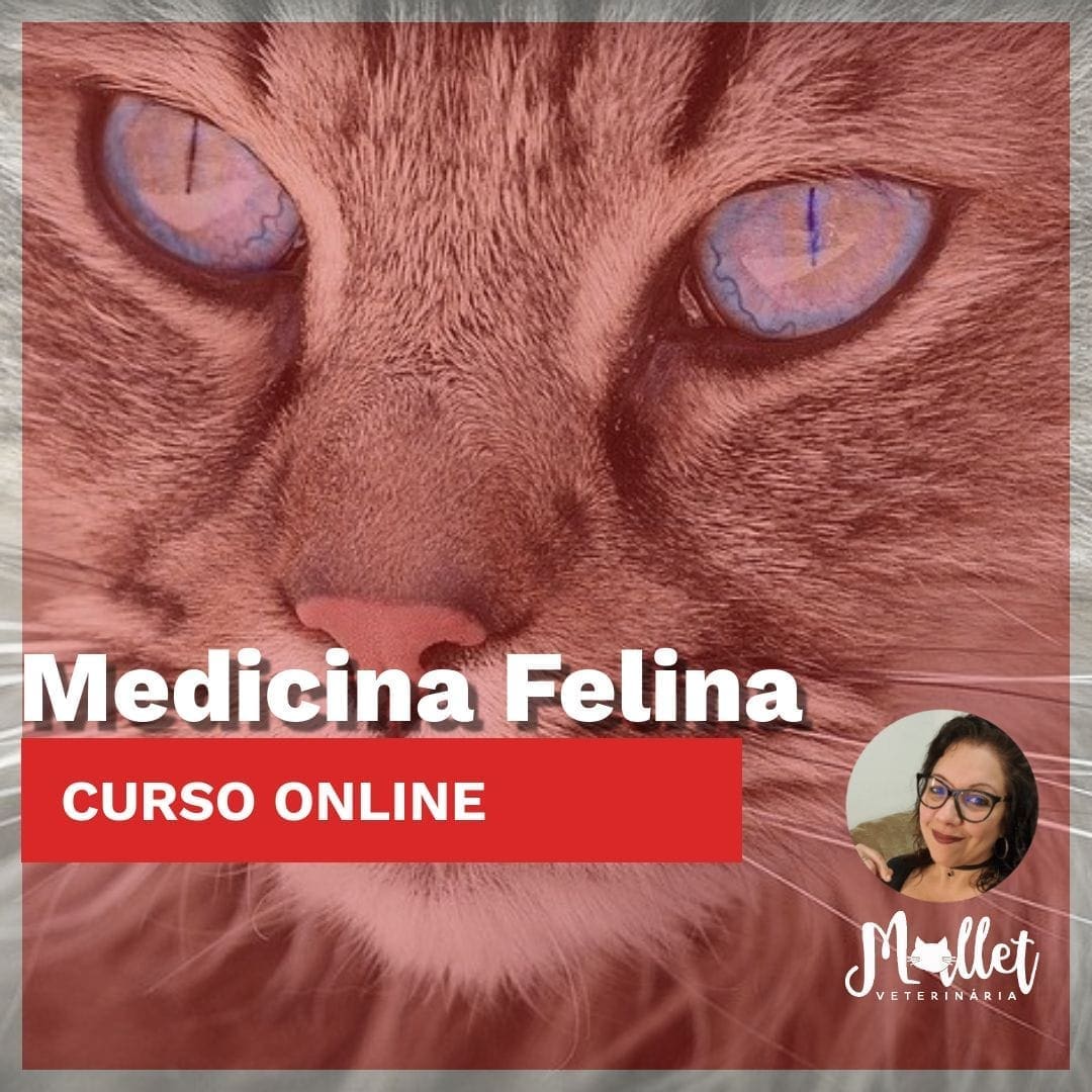 Medicina Felina - Imagem 2