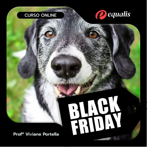 Geriatria-BLACK-1 | Equalis