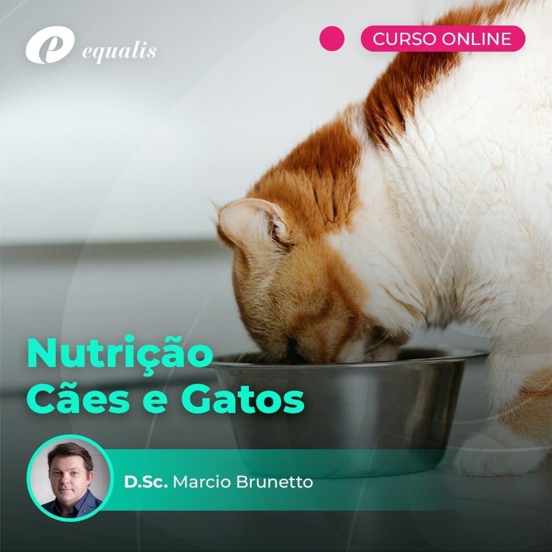 equalis_nutri_caes_e_gatos_1080x1080 | Equalis Curso em Nutrição de Cães e Gatos