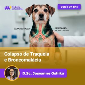 Colapso de Traqueia e Broncomalácia | Equalis