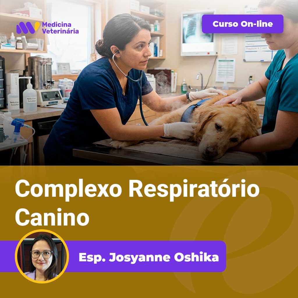 Veterinary team examining a dog on an exam table; online course banner reads 'Curso On-line' for 'Complexo Respiratório Canino' by Esp. Josyanne Oshika