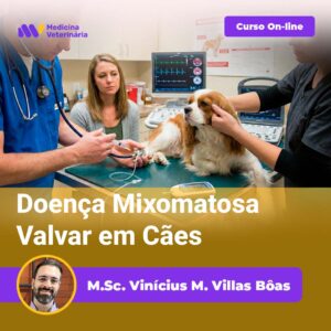 Doença Mixomatosa Valvar em Cães | Equalis