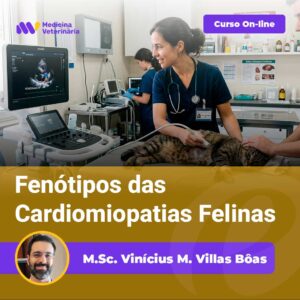 Fenótipos-das-Cardiomiopatias-Felinas | Equalis A veterinarian performs an ultrasound on a cat in a clinic; a purple online course banner and the title about feline cardiomyopathy phenotypes are overlaid.