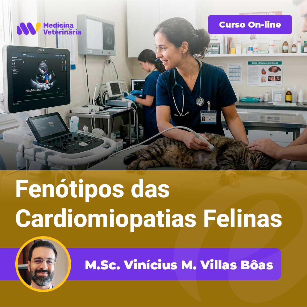 A veterinarian performs an ultrasound on a cat in a clinic; a purple online course banner and the title about feline cardiomyopathy phenotypes are overlaid.