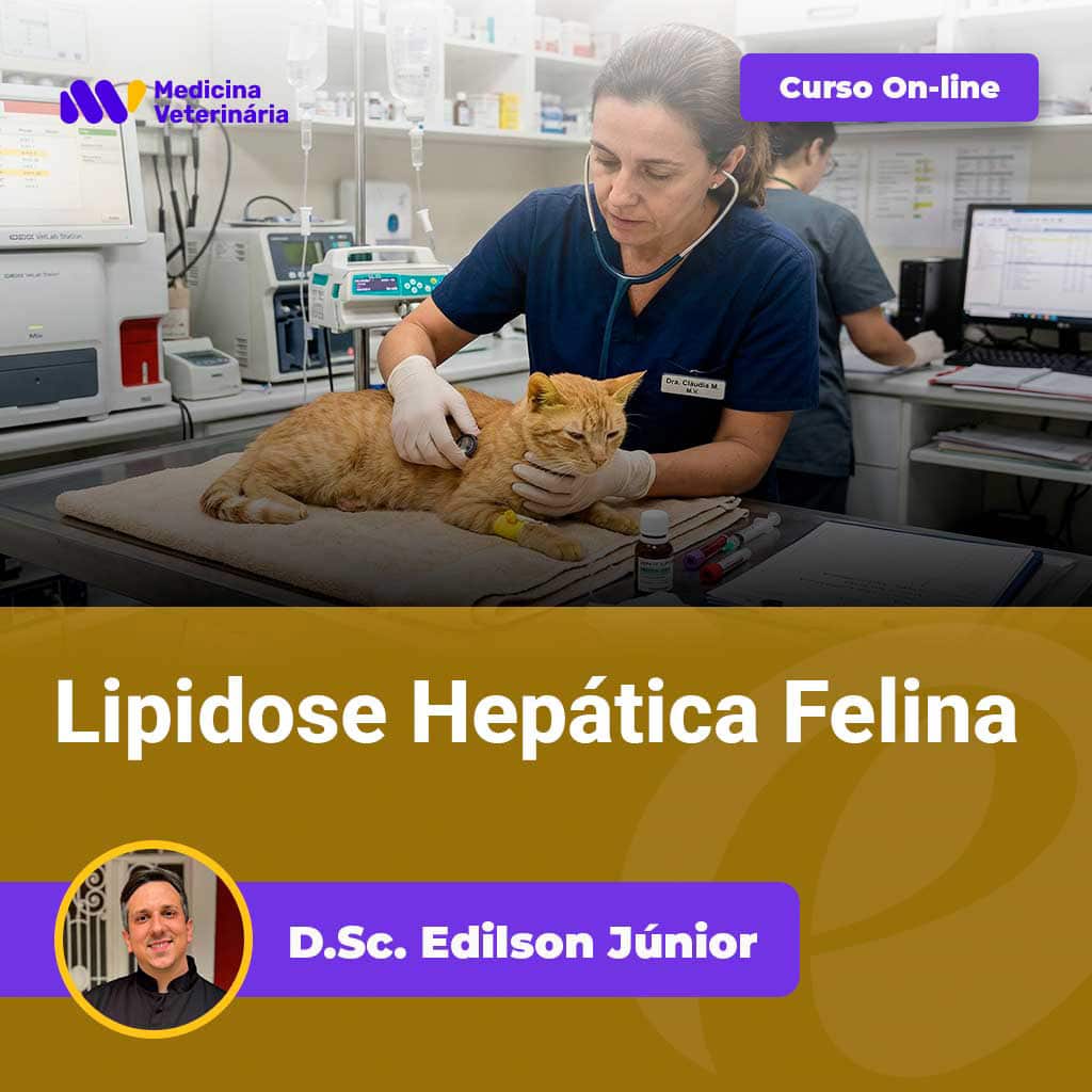 Veterinary clinic scene: a veterinarian in dark scrubs uses a stethoscope on an orange cat on an exam table; background medical equipment visible; overlay promotes an online course titled 'Lipidosa Hepática Felina' with a photo of Dr. Edilson Júnior.