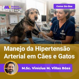 Vet examines a dog on an exam table in a clinic; banner promotes an online course on managing hypertension in dogs and cats.
