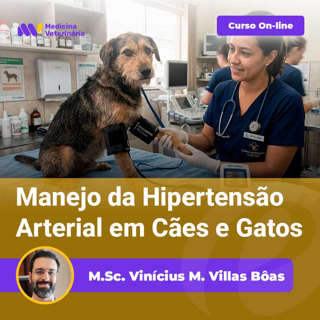Vet examines a dog on an exam table in a clinic; banner promotes an online course on managing hypertension in dogs and cats.
