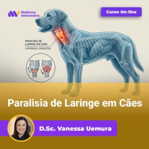 Paralisia de Laringe em Cães | Equalis
