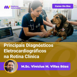 Principais-Diagnósticos-Eletrocardiográficos-na-Rotina-Clínica_edited | Equalis Online veterinary course banner: a veterinarian checks a dog's ECG in a clinic, with the course title and instructor name.
