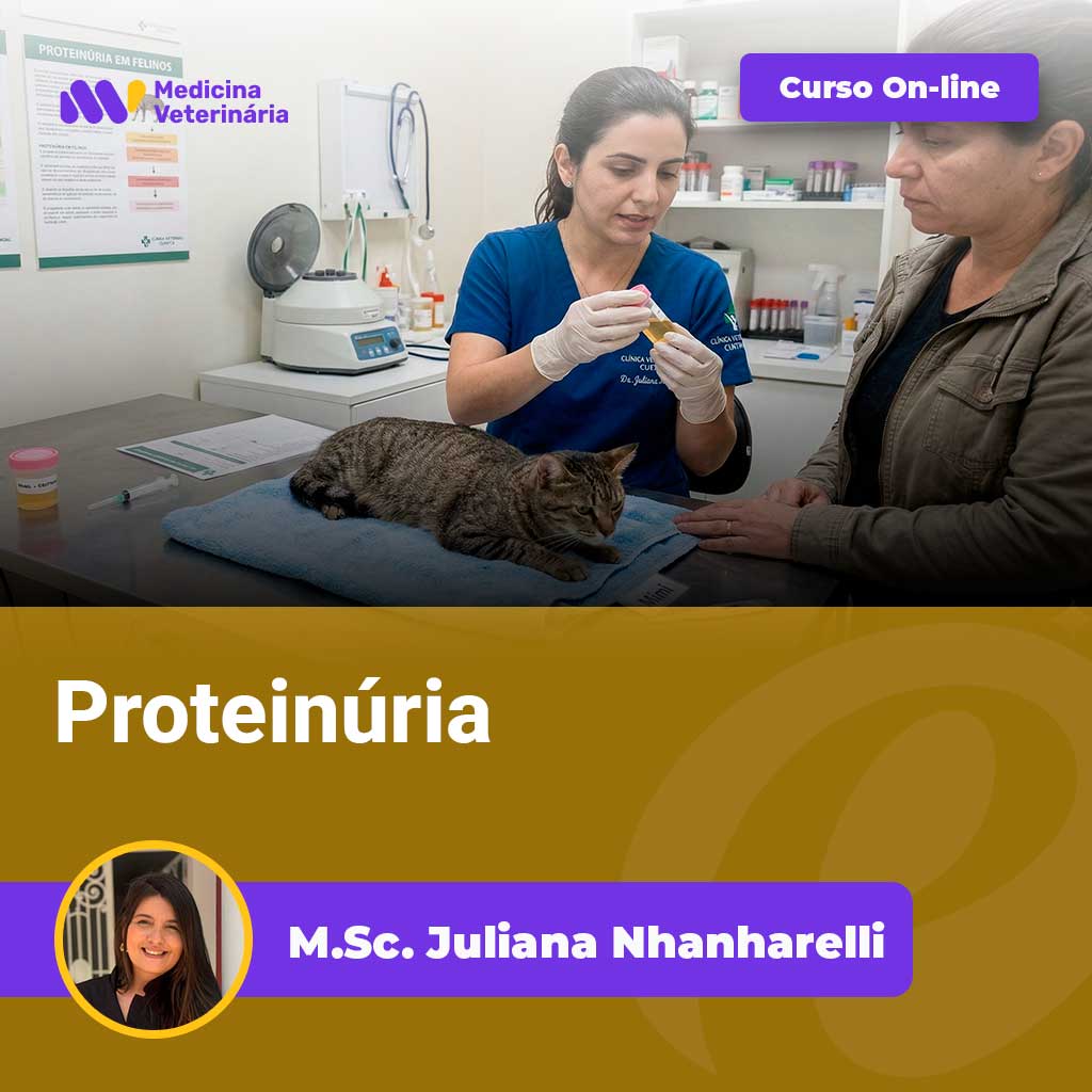 Veterinarian in blue scrubs treats a cat on an exam table; a purple 'Curso On-line' banner is visible.