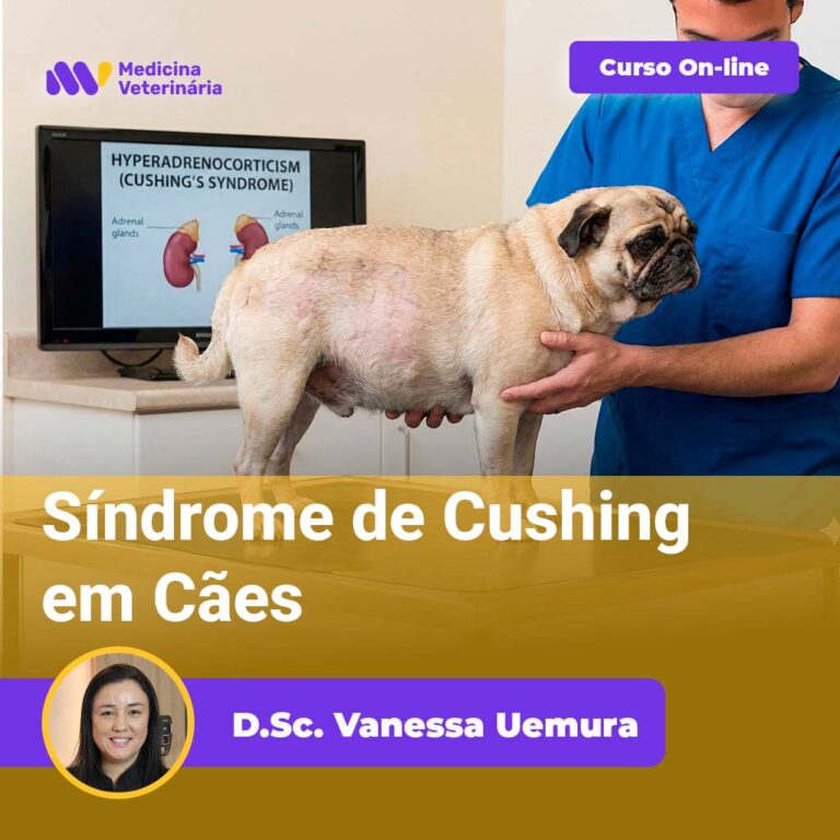 curso-de-s-ndrome-de-cushing-em-c-es-online-equalis