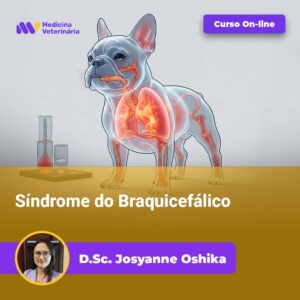 Síndrome do Braquicefálico | Equalis