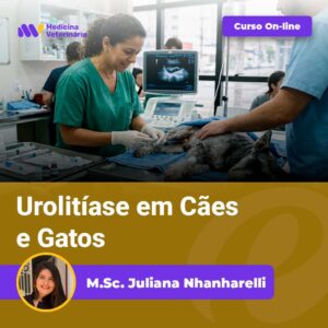 Urolitíase-em-Cães-e-Gatos | Equalis Vet team performing a procedure on a dog on an exam table, with an ultrasound monitor in the background and course branding overlaid on the image.