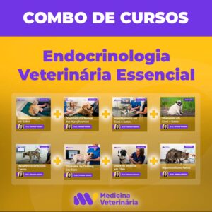 combos-design | Equalis