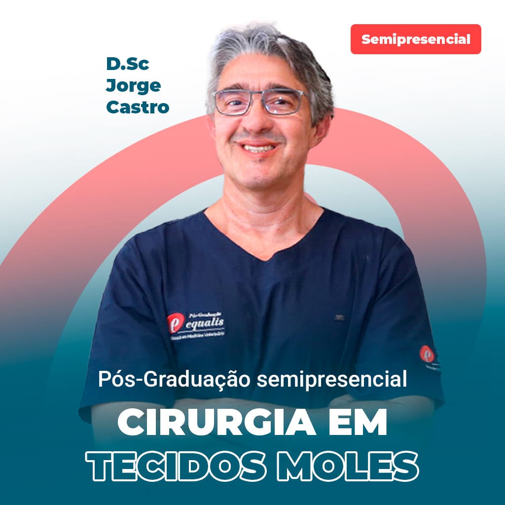 tecidos moles
