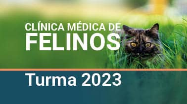 Banner for Clínica Médica de Felinos Turma 2023 featuring a cat in grass and green-to-teal background text