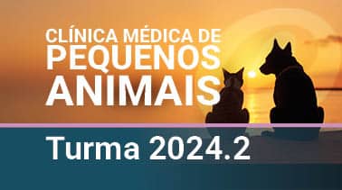 Banner da Clínica Médica de Pequenos Animais com silhuetas de gato e cachorro ao pôr do sol; Turma 2024.2