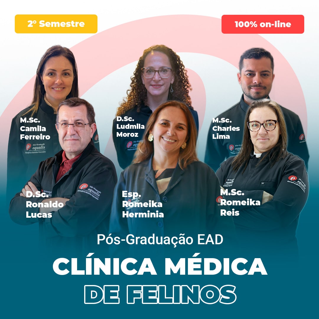 Pós Graduação Veterinária em Clínica Médica de Felinos Online