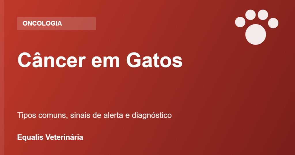 Câncer em gatos: tipos mais comuns, sinais e diagnóstico