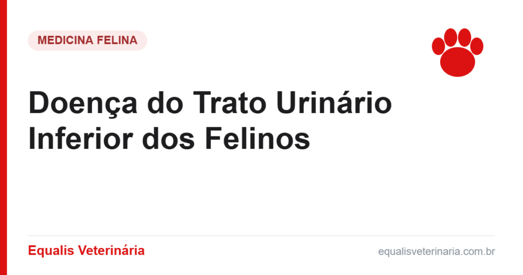 Doença do Trato Urinário Inferior dos Felinos — Equalis Veterinária