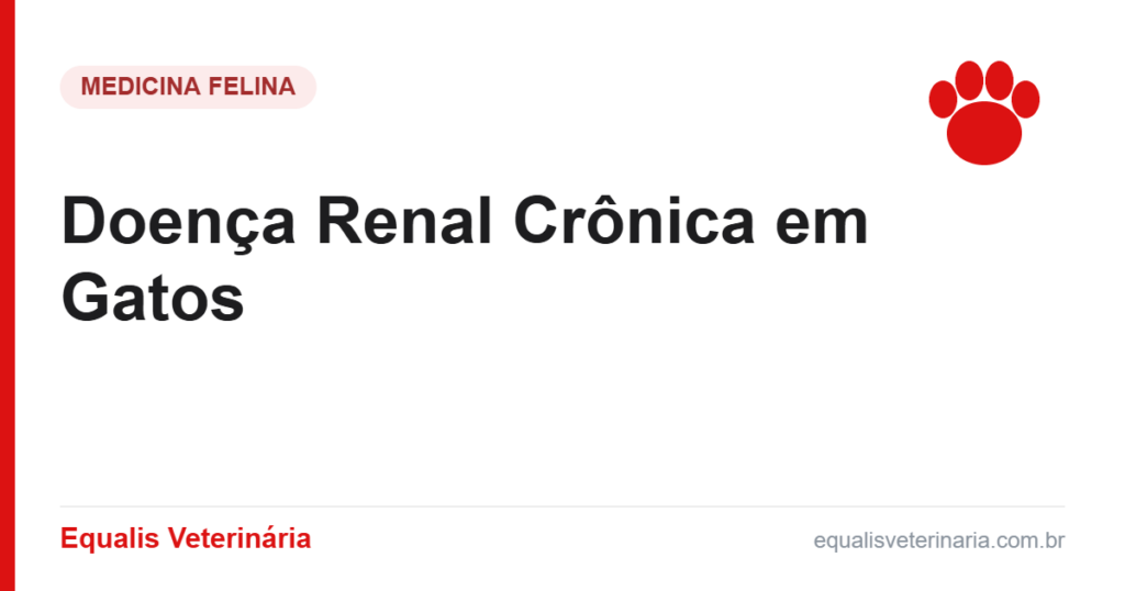 Doença Renal Crônica em Gatos — Equalis Veterinária