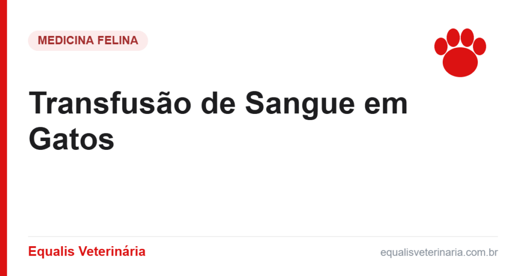 Transfusão de Sangue em Gatos — Equalis Veterinária