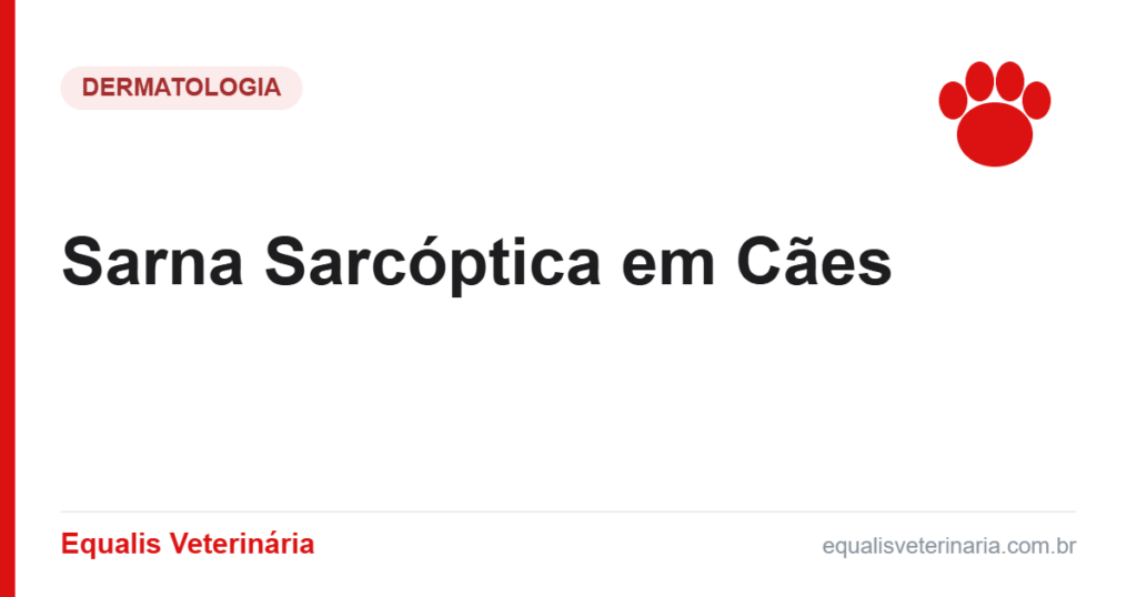 Sarna Sarcóptica em Cães — Equalis Veterinária