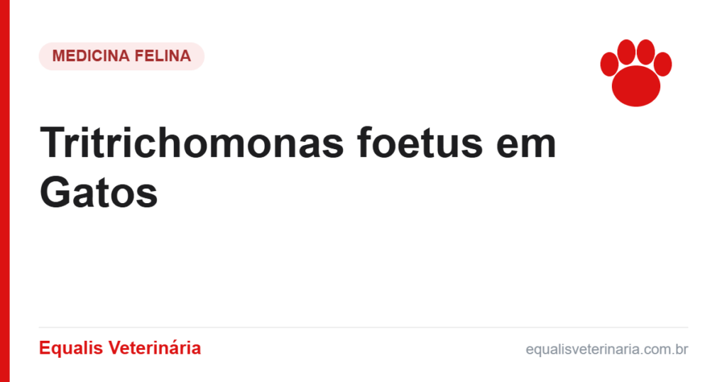 Tritrichomonas foetus em Gatos — Equalis Veterinária