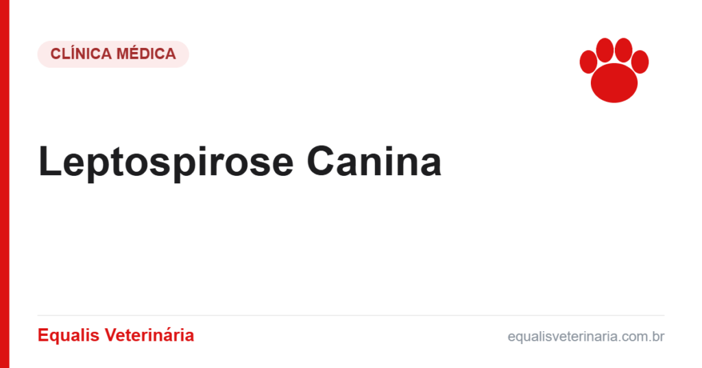 Leptospirose Canina — Equalis Veterinária